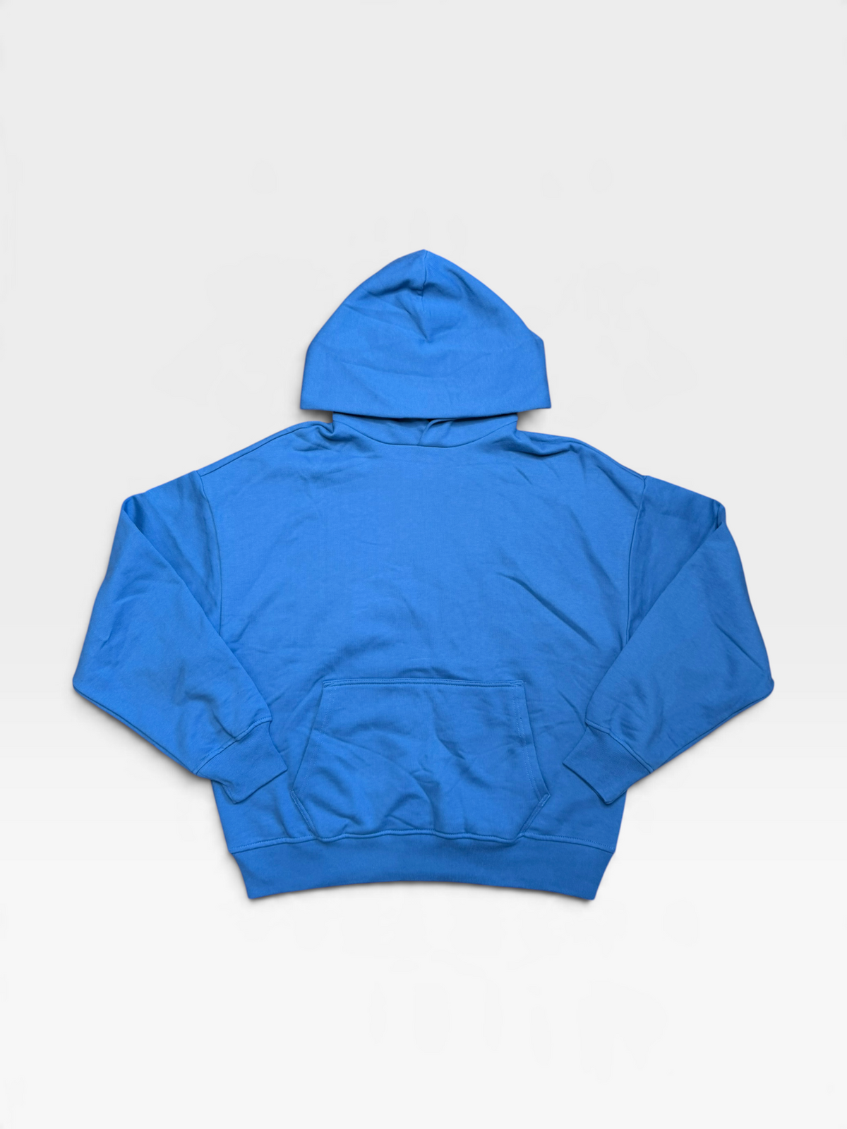 BLUE GAP HEAVYWEIGHT OVERSIZED HOODIE NWT (ORG. $80) | M