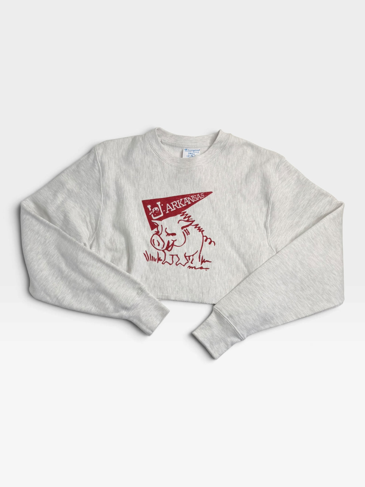 GREY ARKANASAS CHAMPION PULLOVER (NWT) S