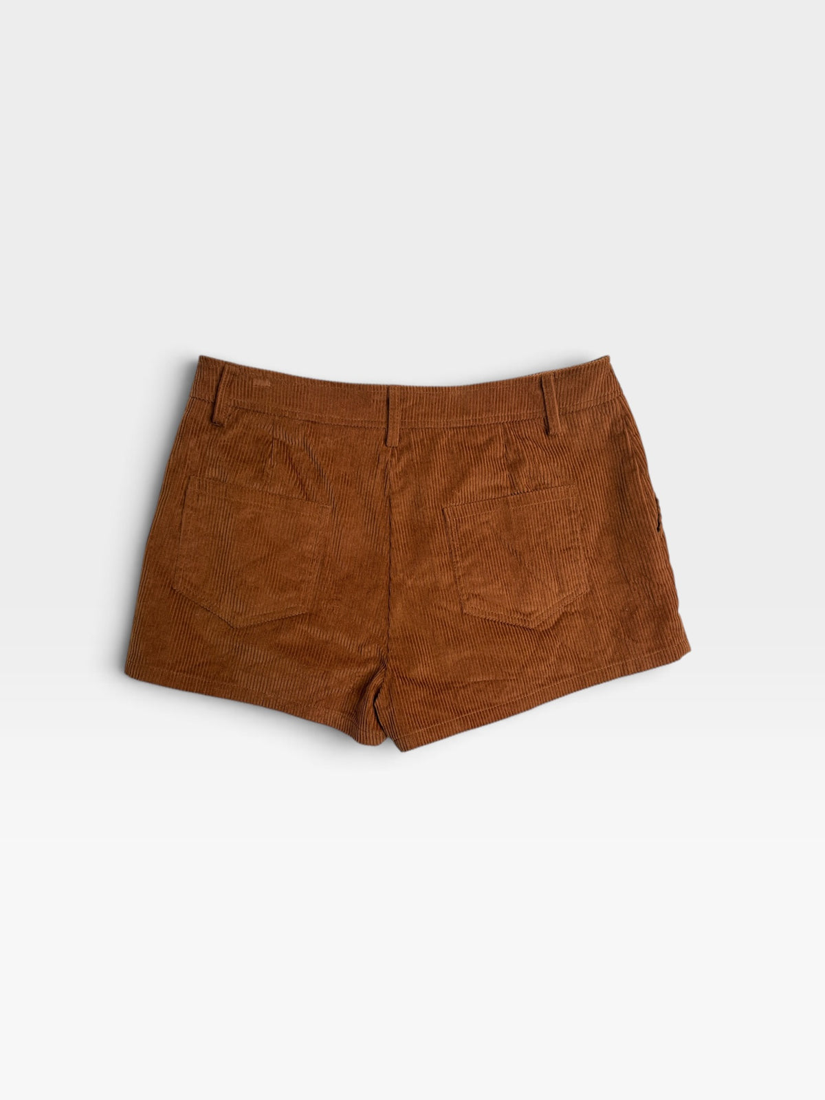 SUEDE NEEDII PLEATED SHORTS (ORG. $60) | M