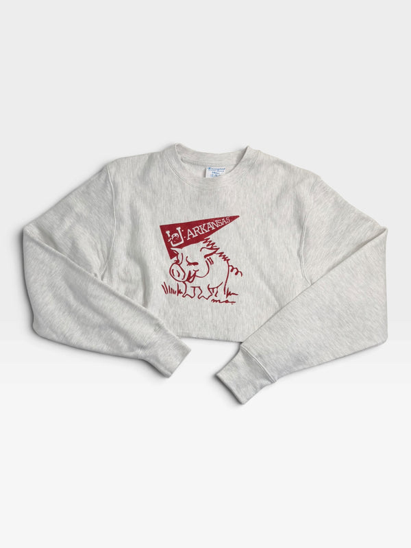 GREY ARKANASAS CHAMPION PULLOVER (NWT) S