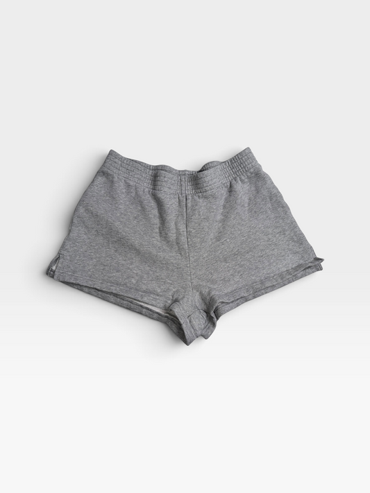 GREY ARITZIA HIGH RISE MINI SHORTS M
