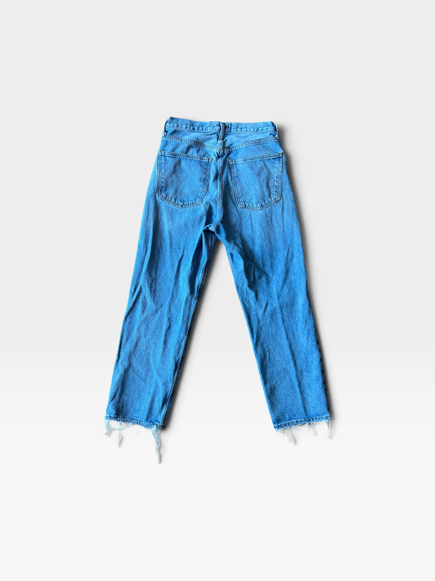 BLUE AGOLDE 90’S CROP JEANS IN BOUND (ORG. $238) 25