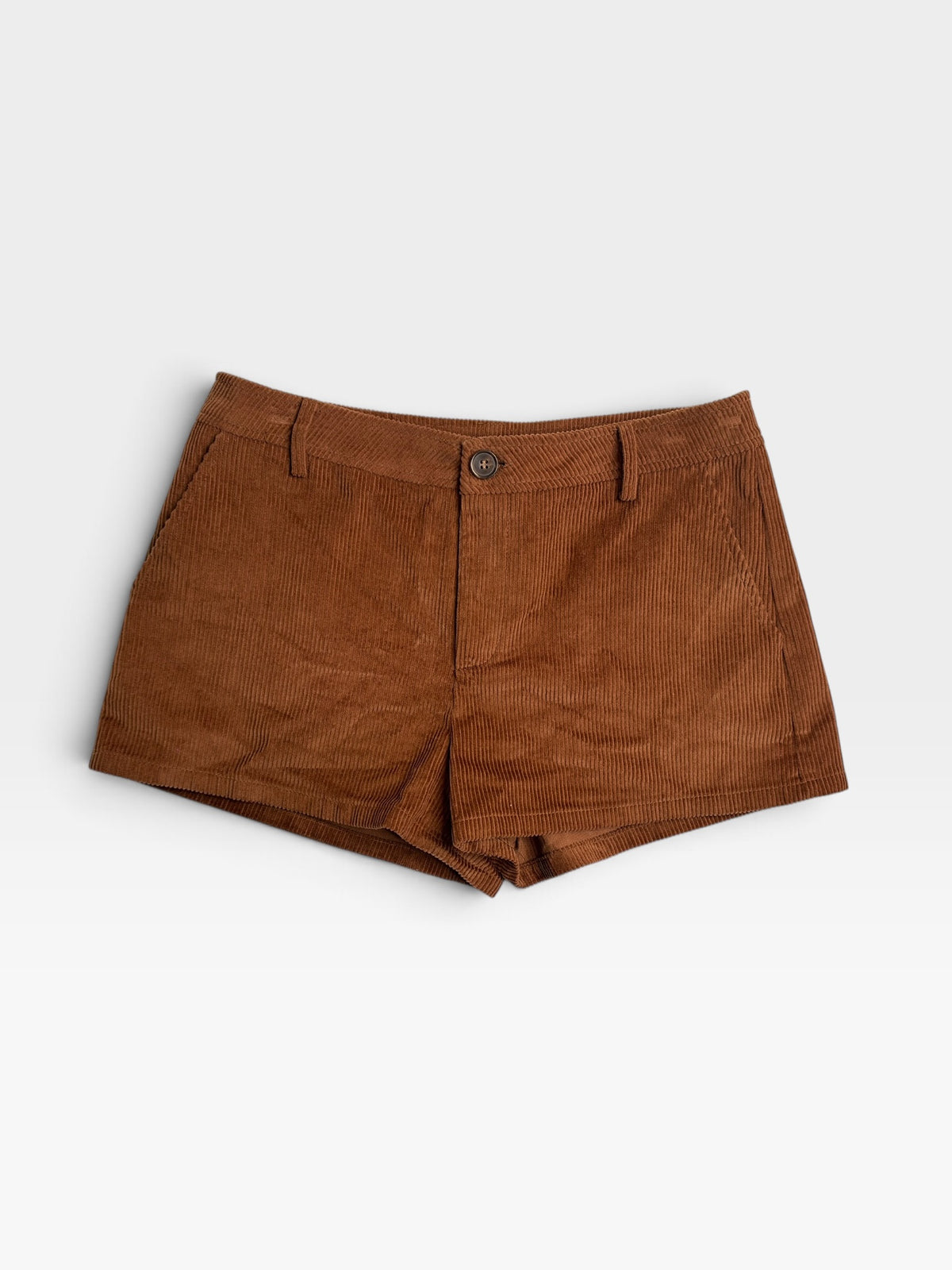 SUEDE NEEDII PLEATED SHORTS (ORG. $60) | M